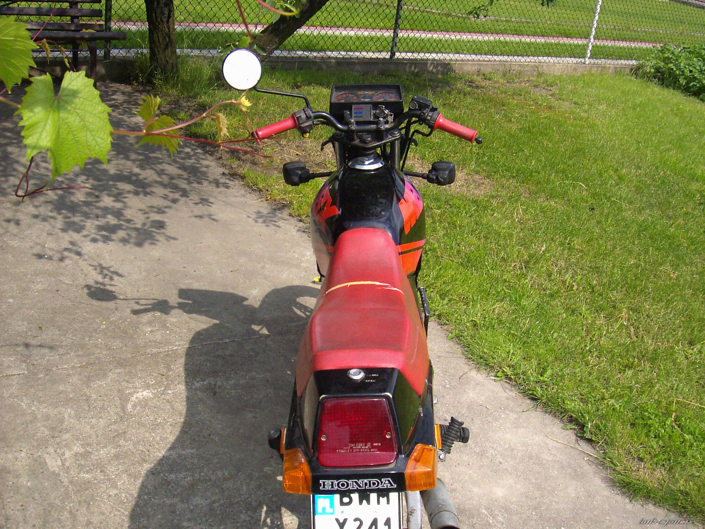Photo 203041