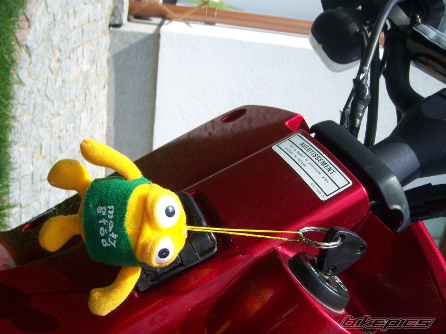 Photo 2030532