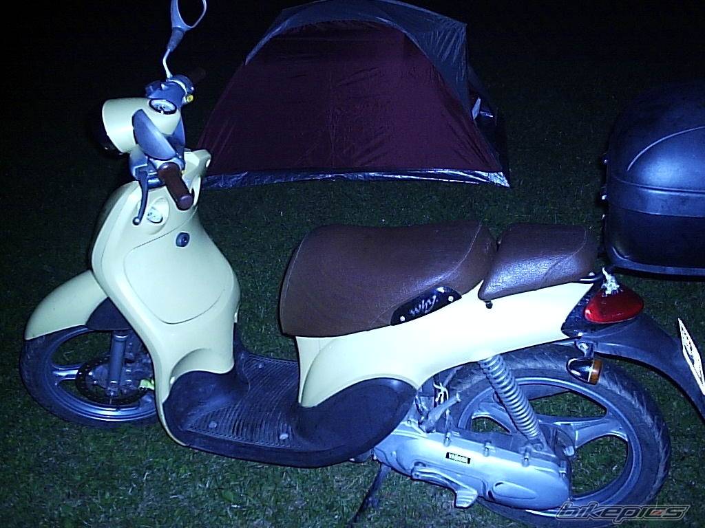 Photo 203054