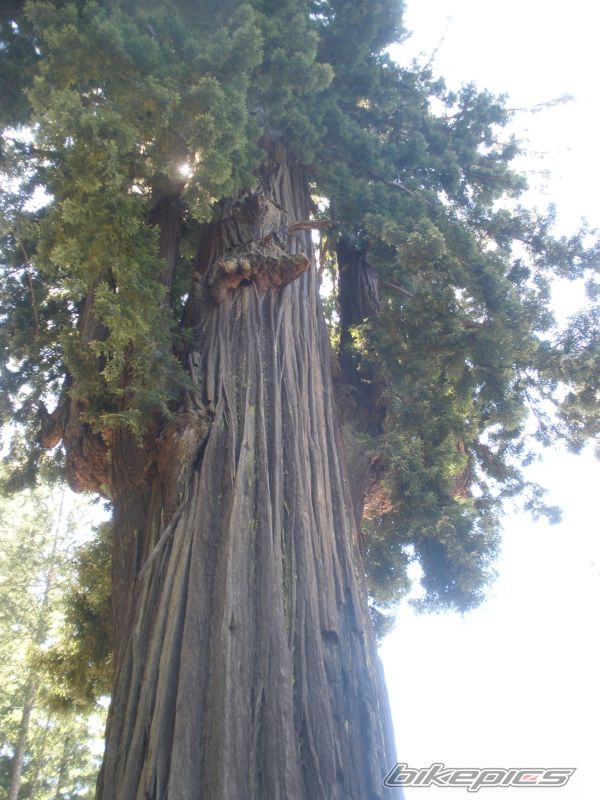 Photo 2030676