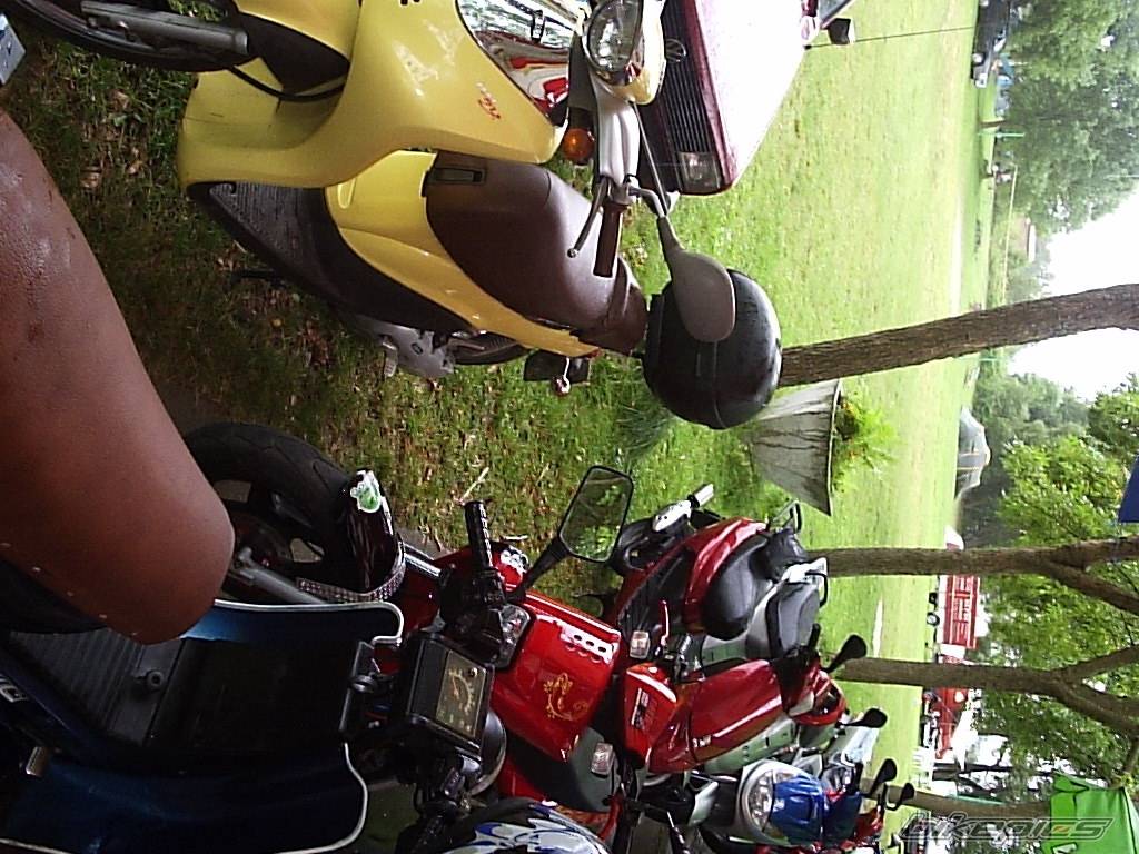 Photo 203069