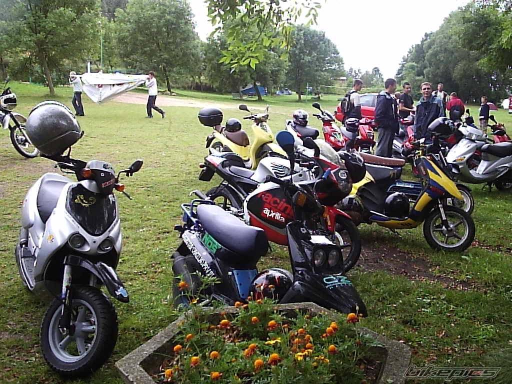 Photo 203072