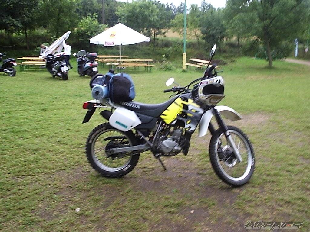 Photo 203084