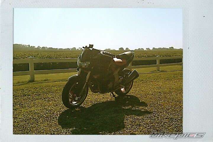 Photo 2030940