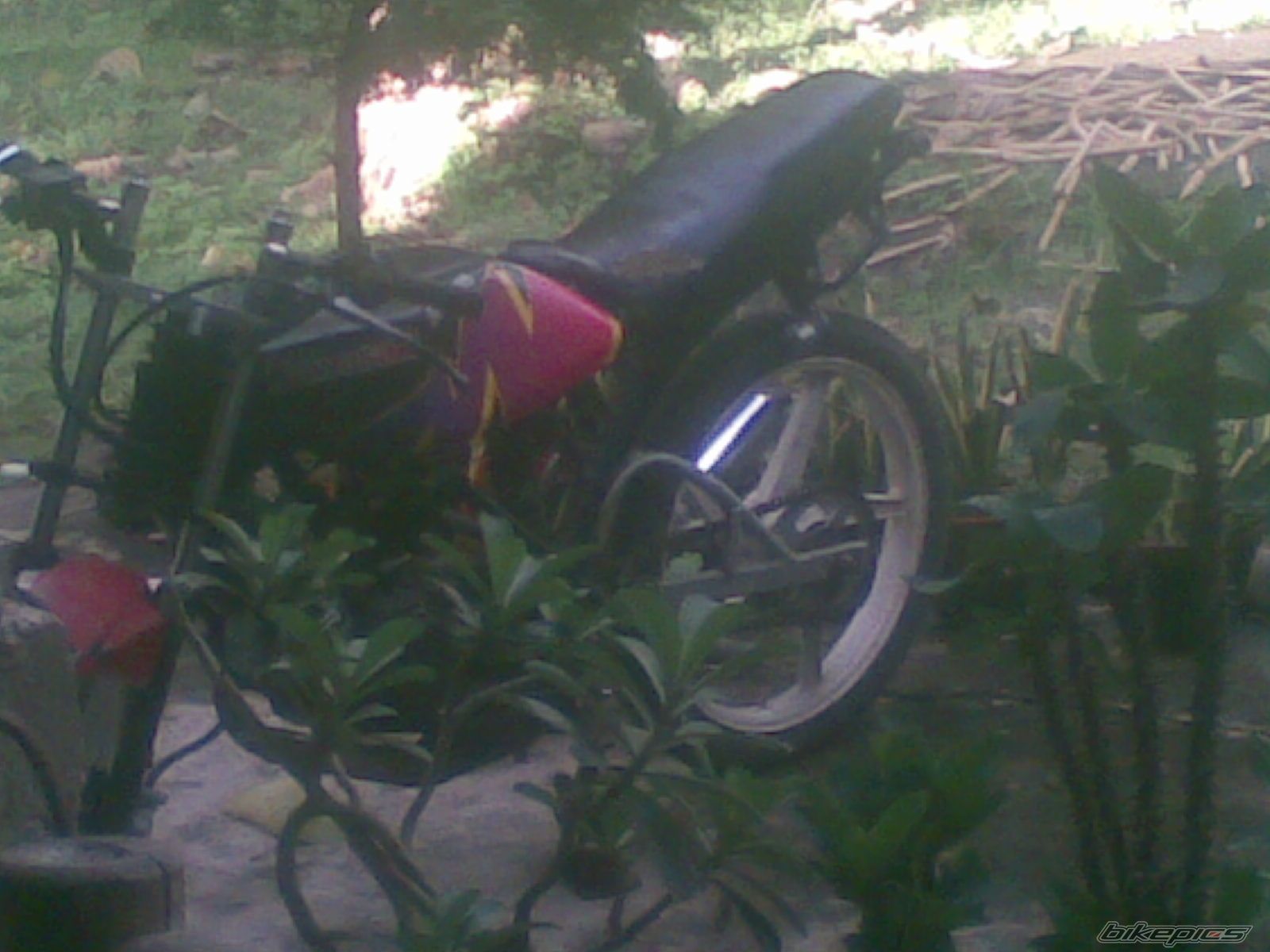 Photo 2031036