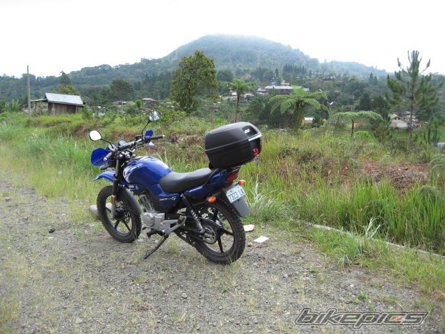 Bike Photo 2031057