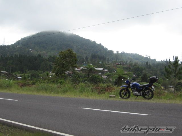 Bike Photo 2031058