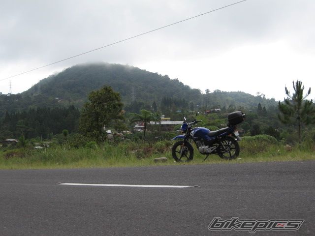 Bike Photo 2031059