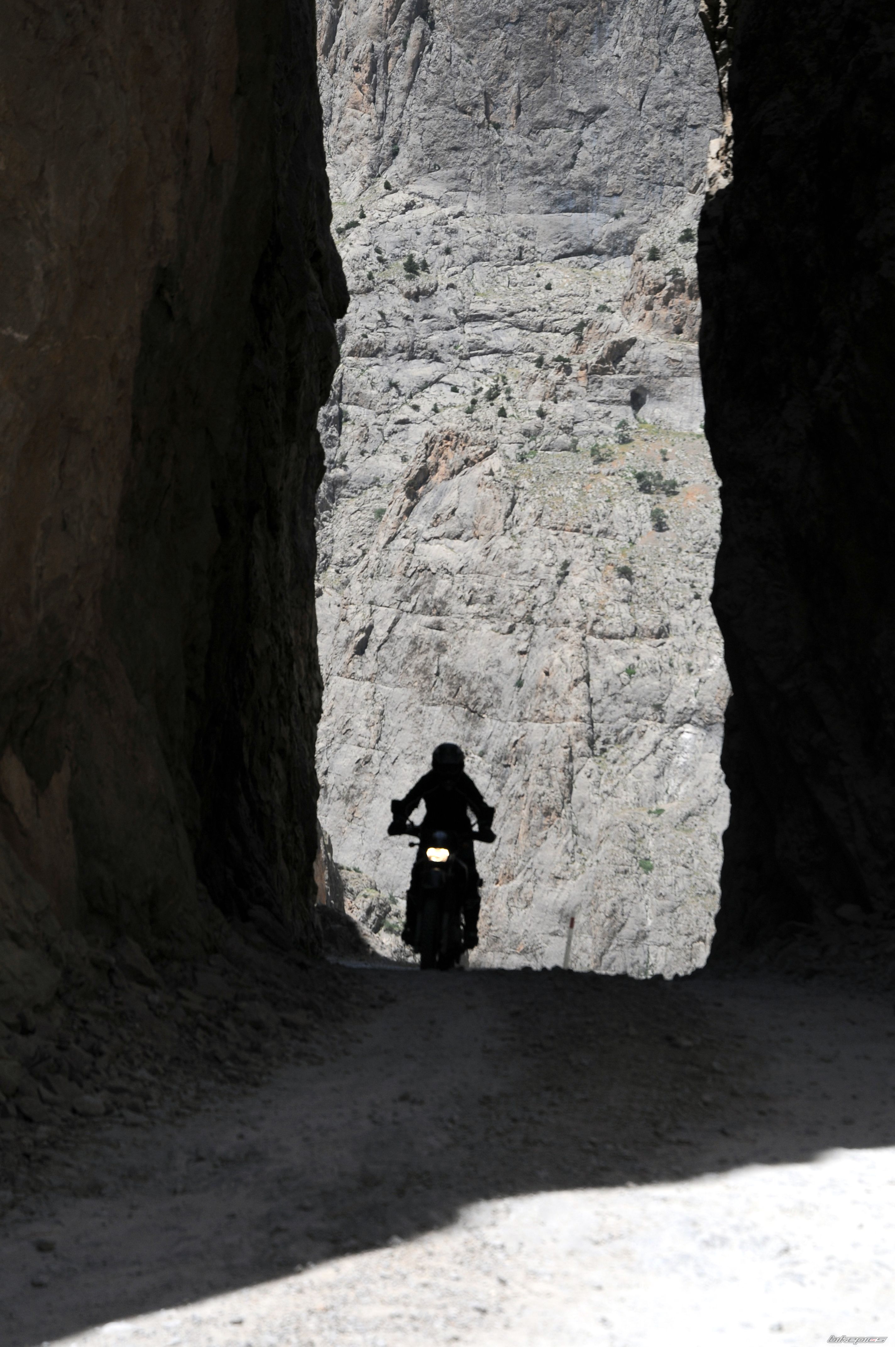 Bike Photo 2031240