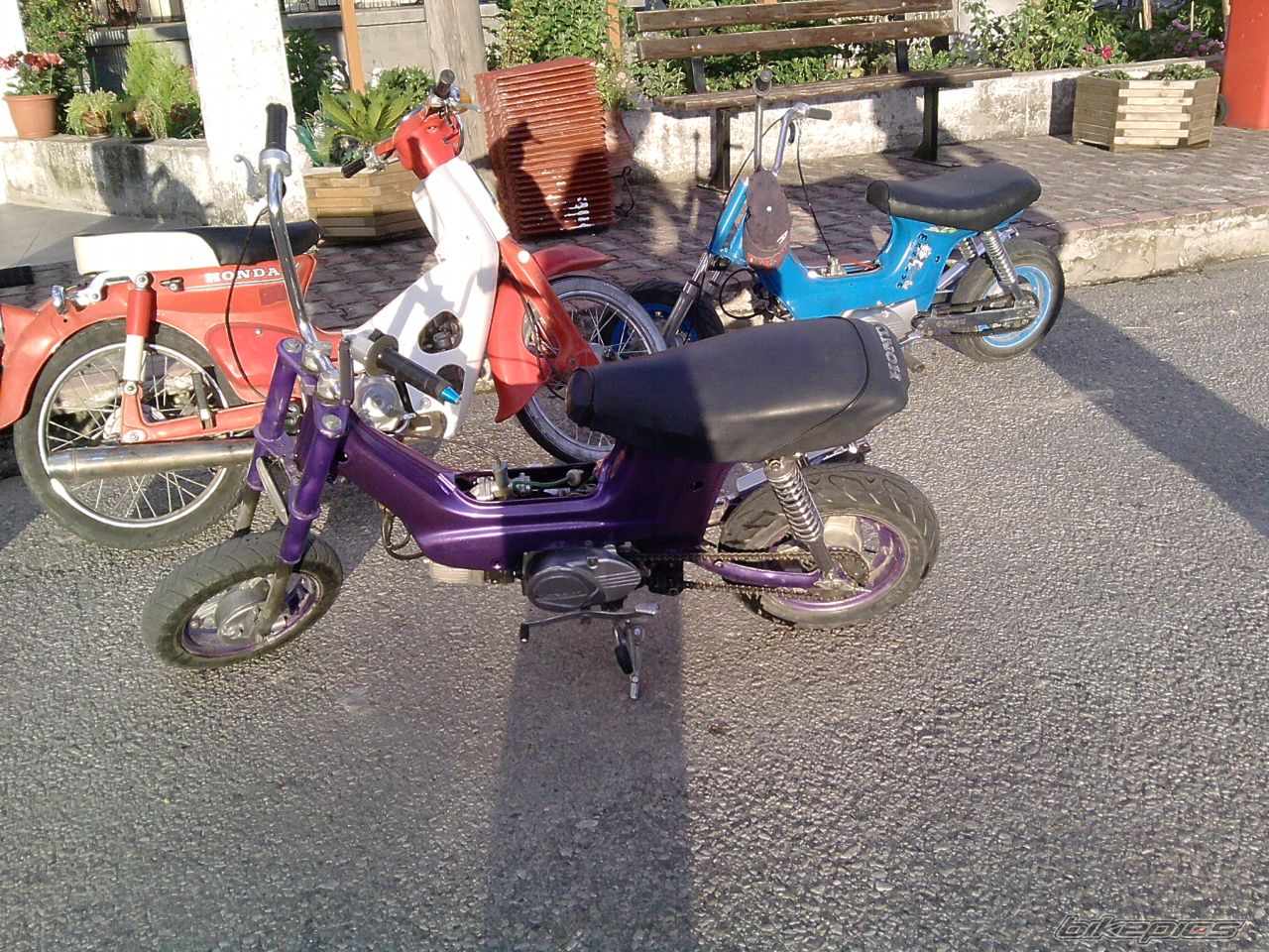 Photo 2031401