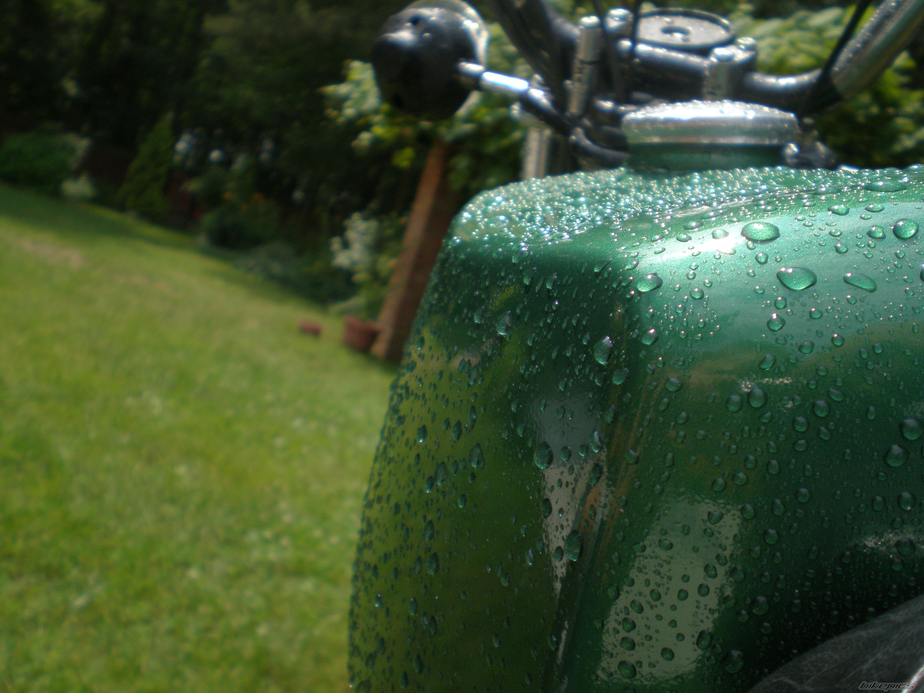 Photo 2031441