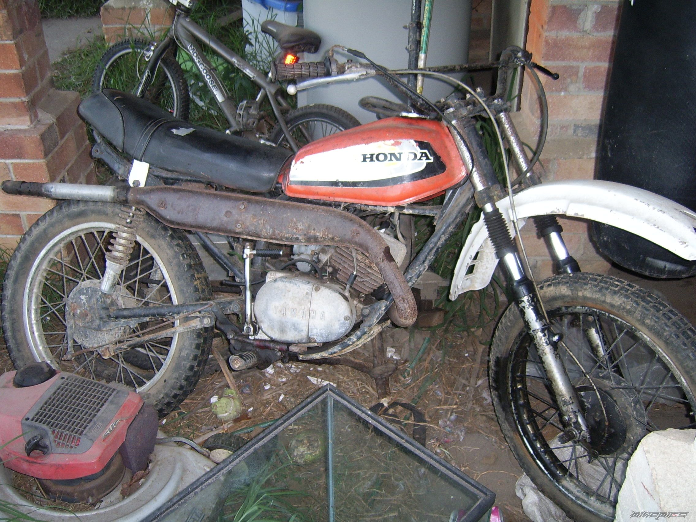 Photo 2031452