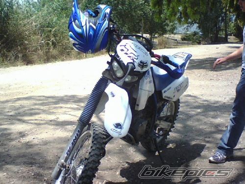 Photo 2031555