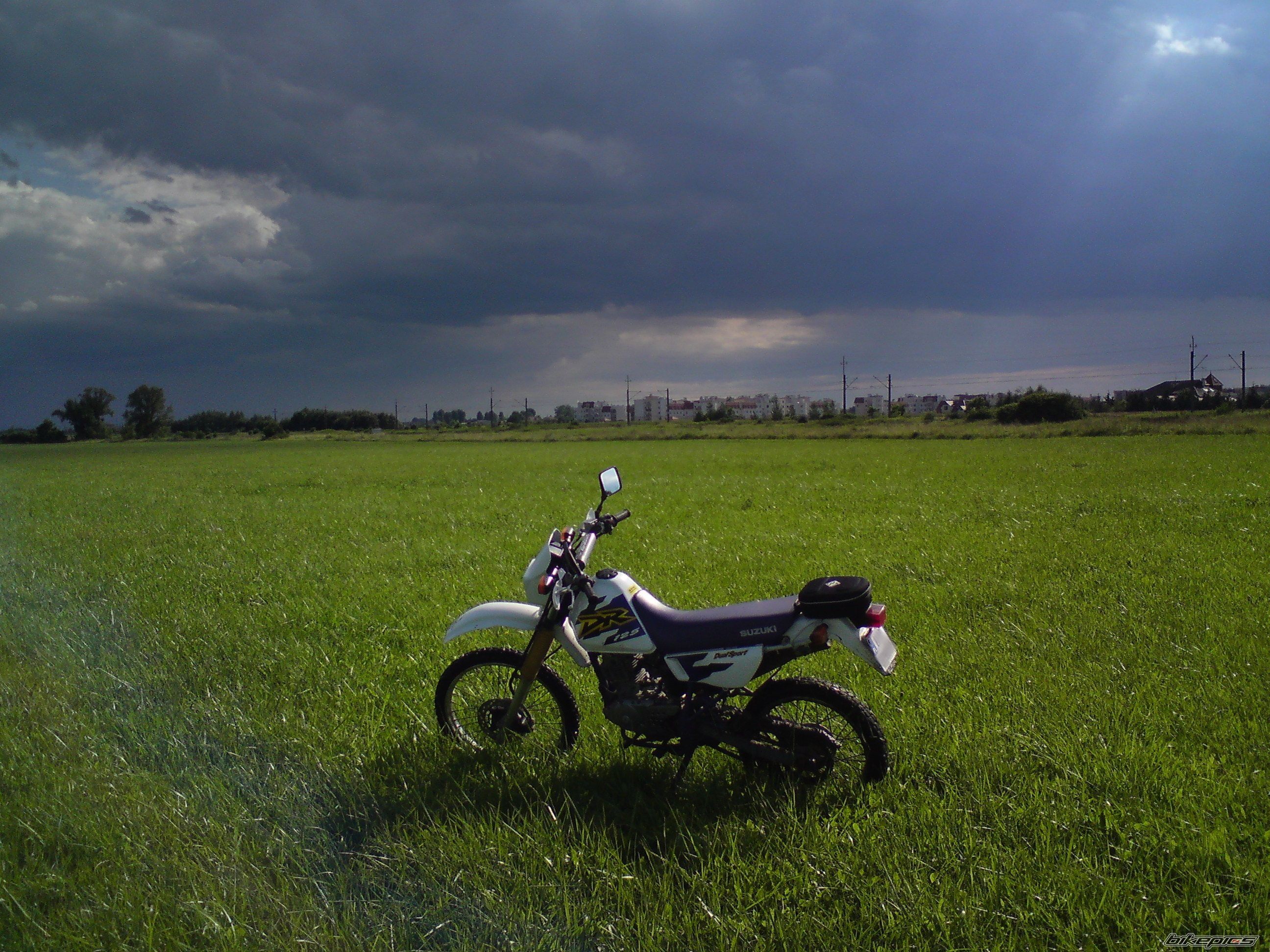Photo 2031557