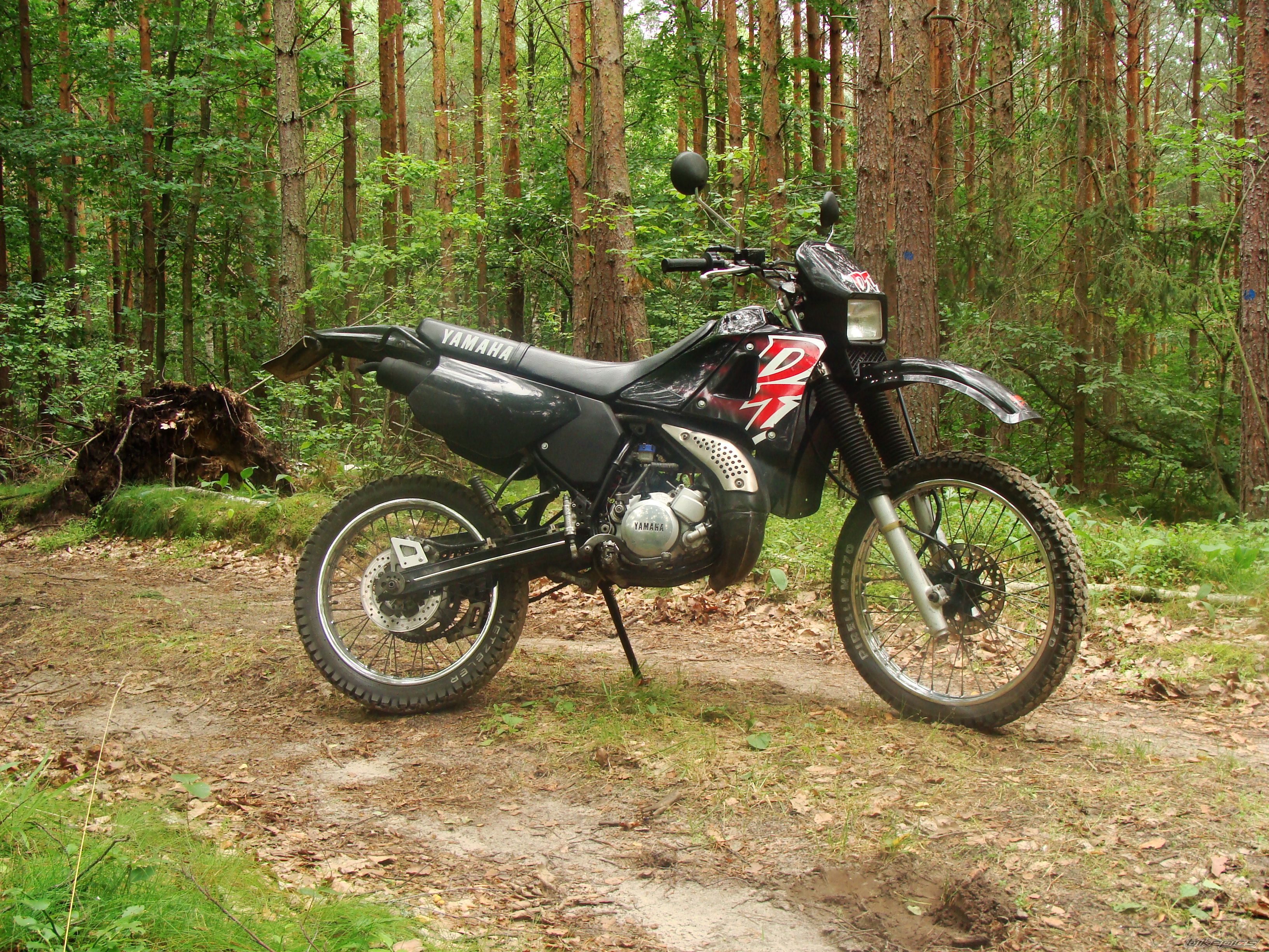 Bike Photo 2031669