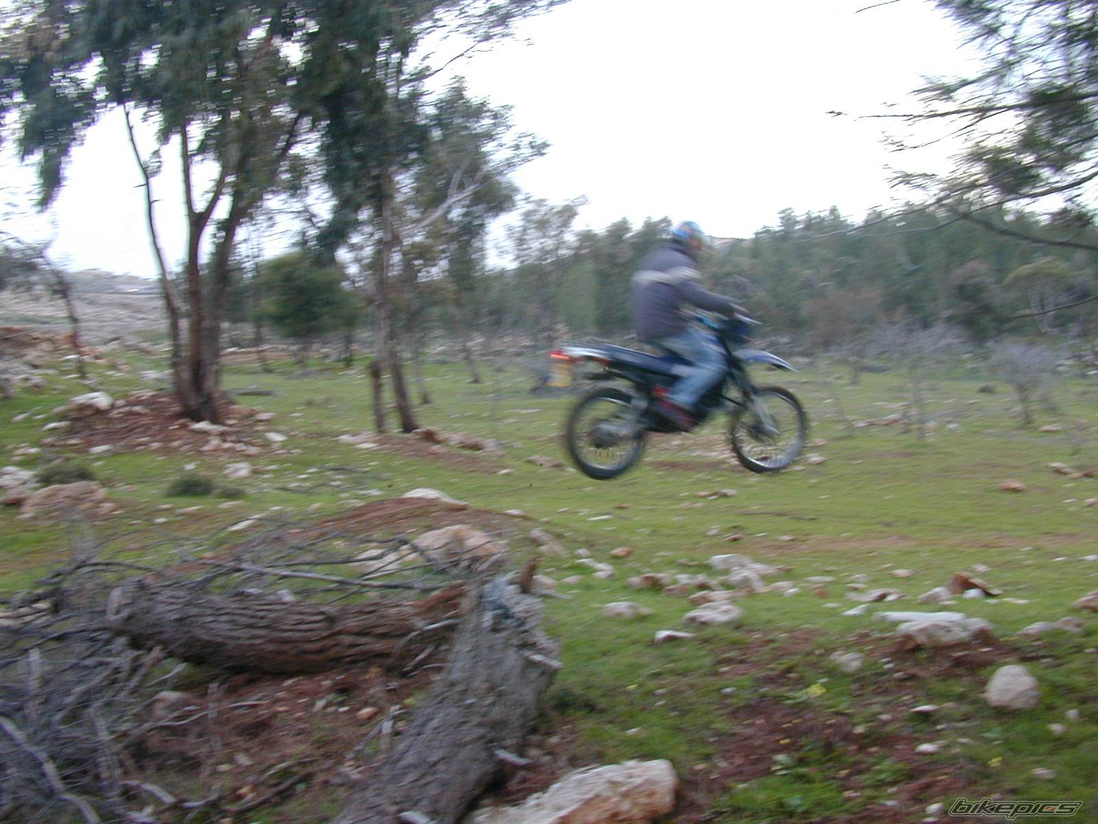Bike Photo 203167