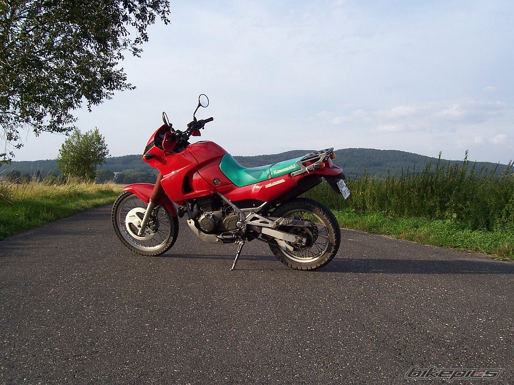 Photo 2031825