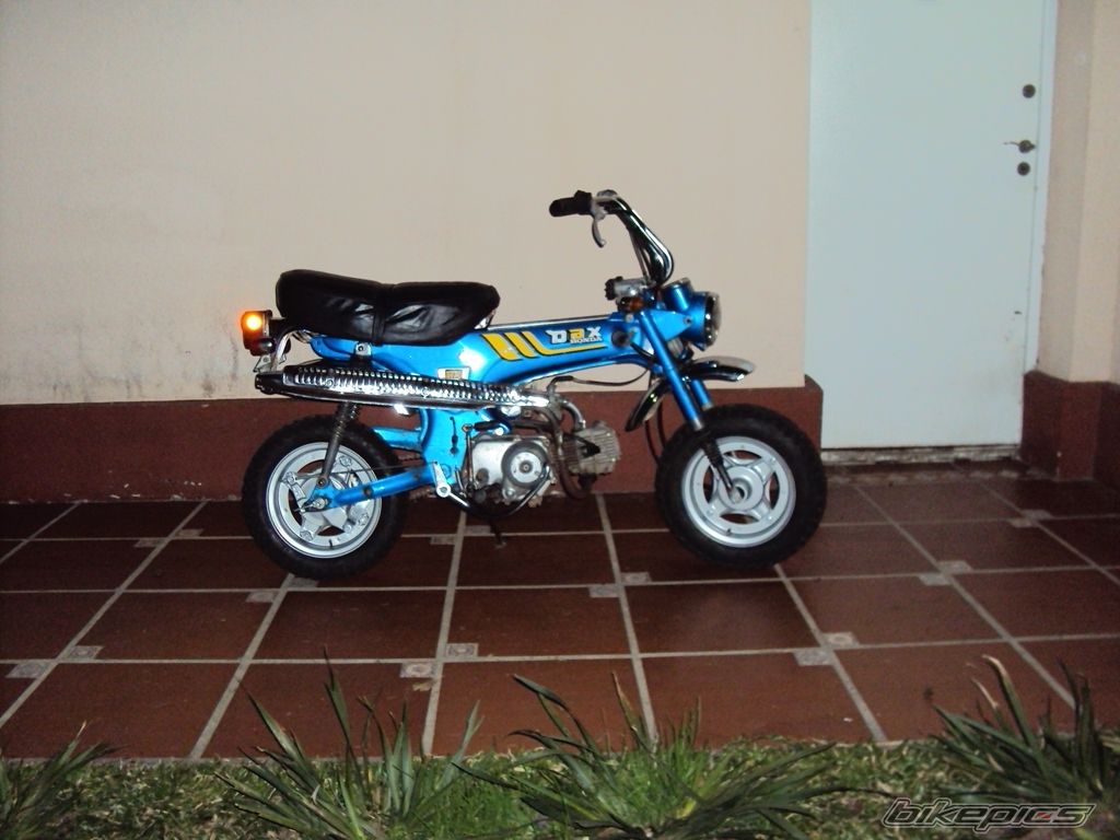 Photo 2031876