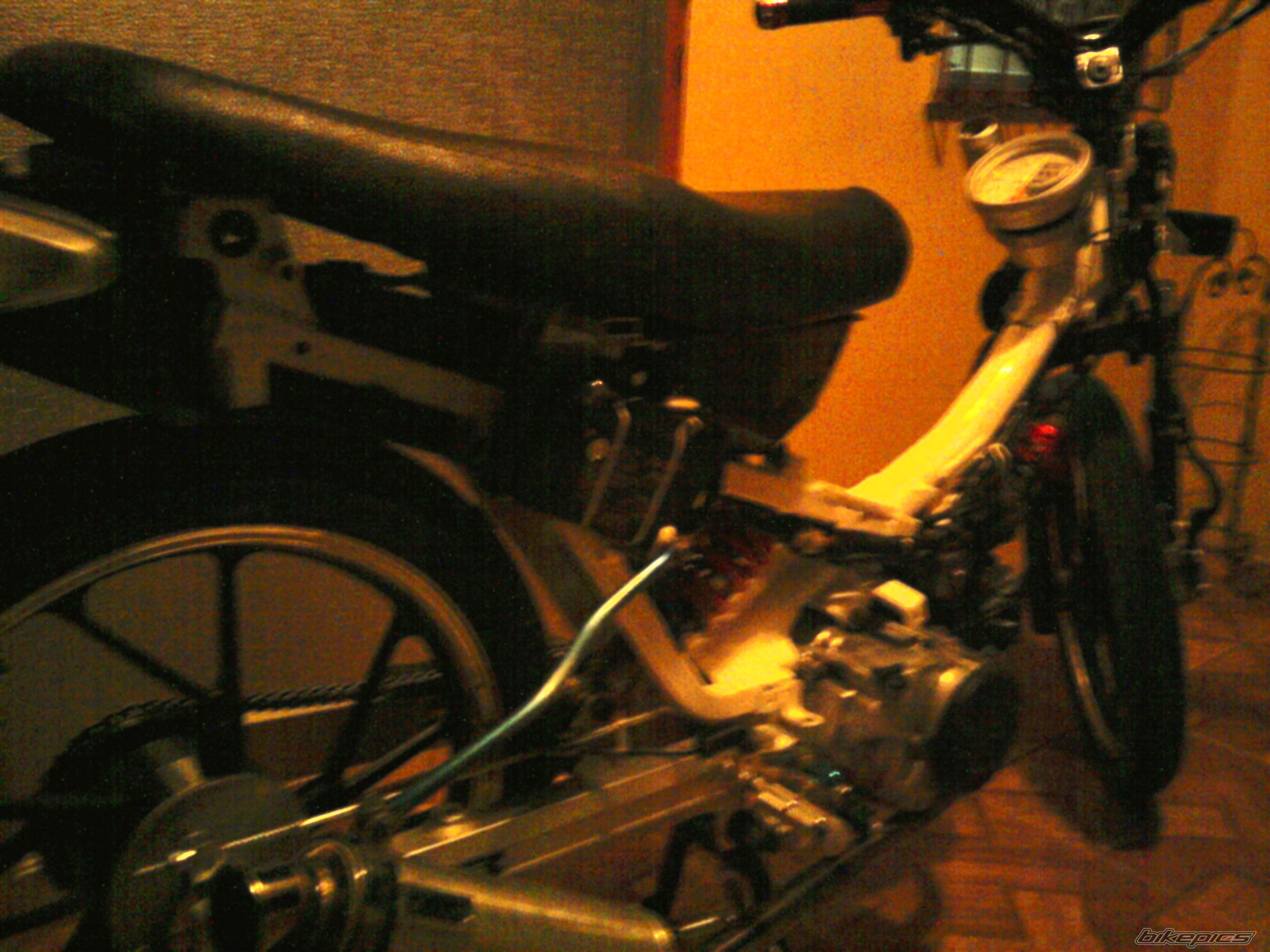 Photo 2031912
