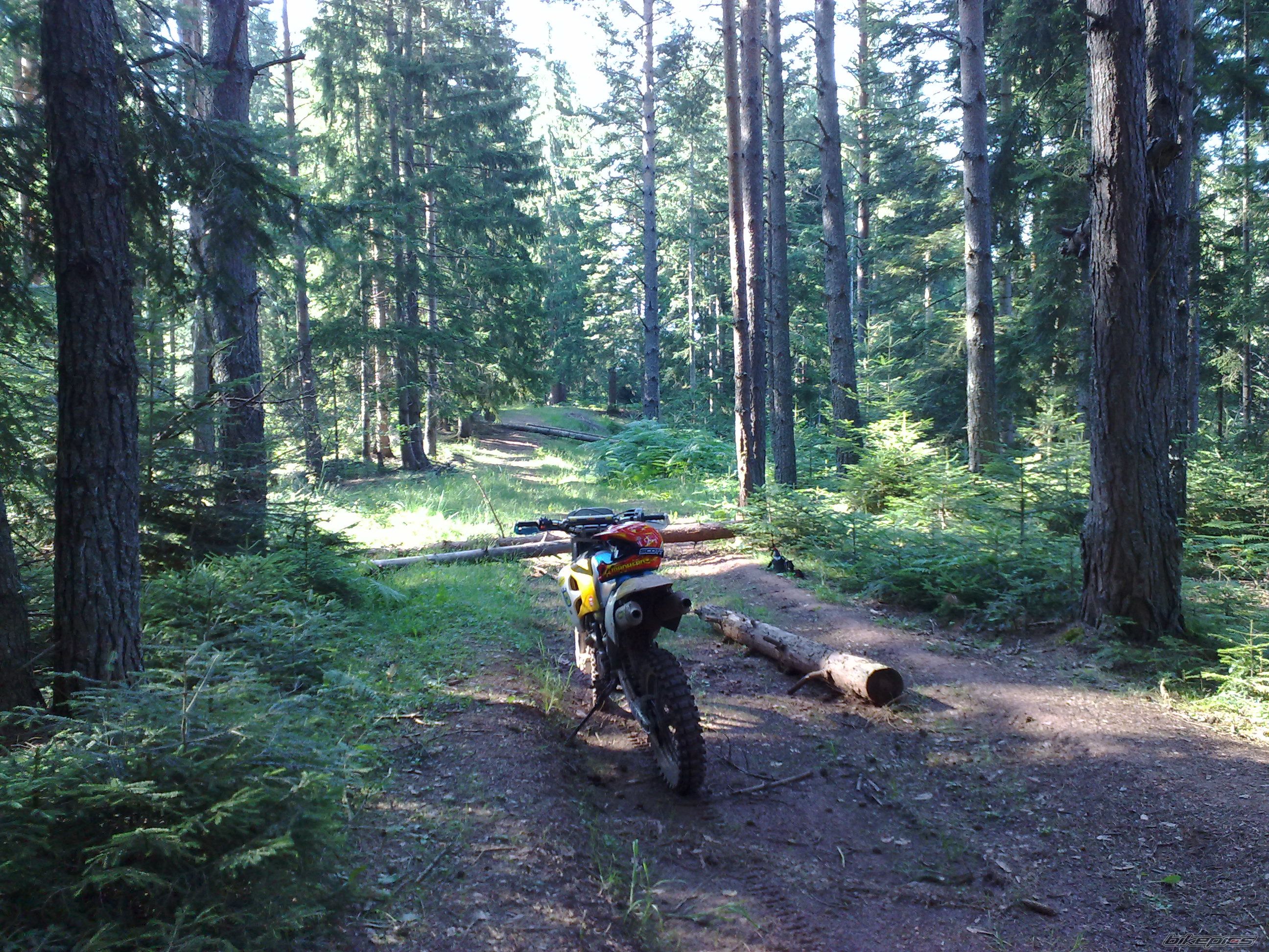 Photo 2032053