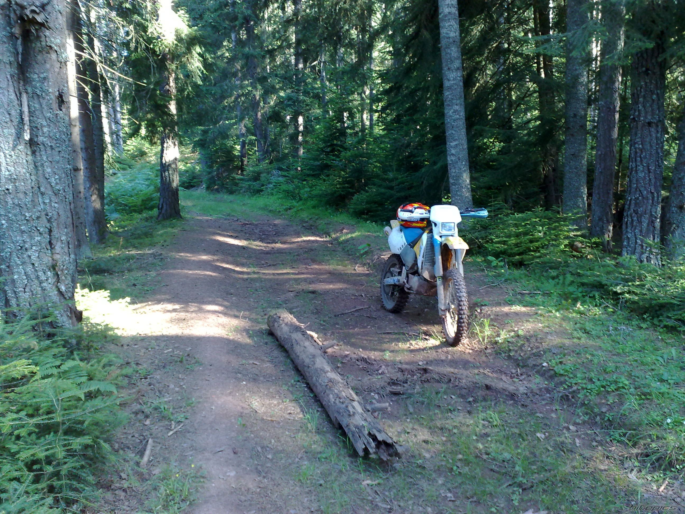 Photo 2032054