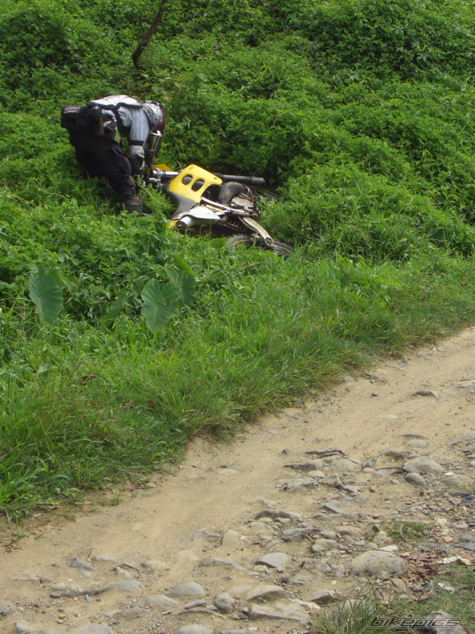 Photo 2032091