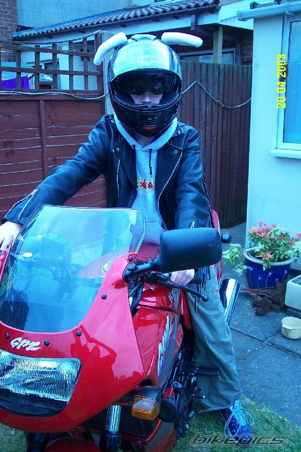 Photo 203229