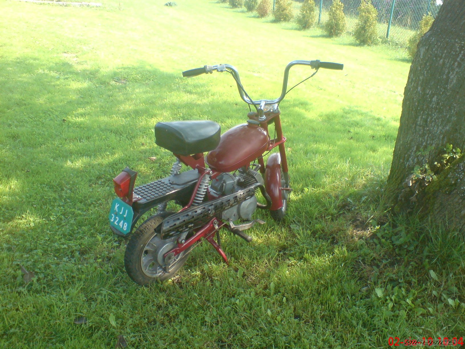 Photo 2032291