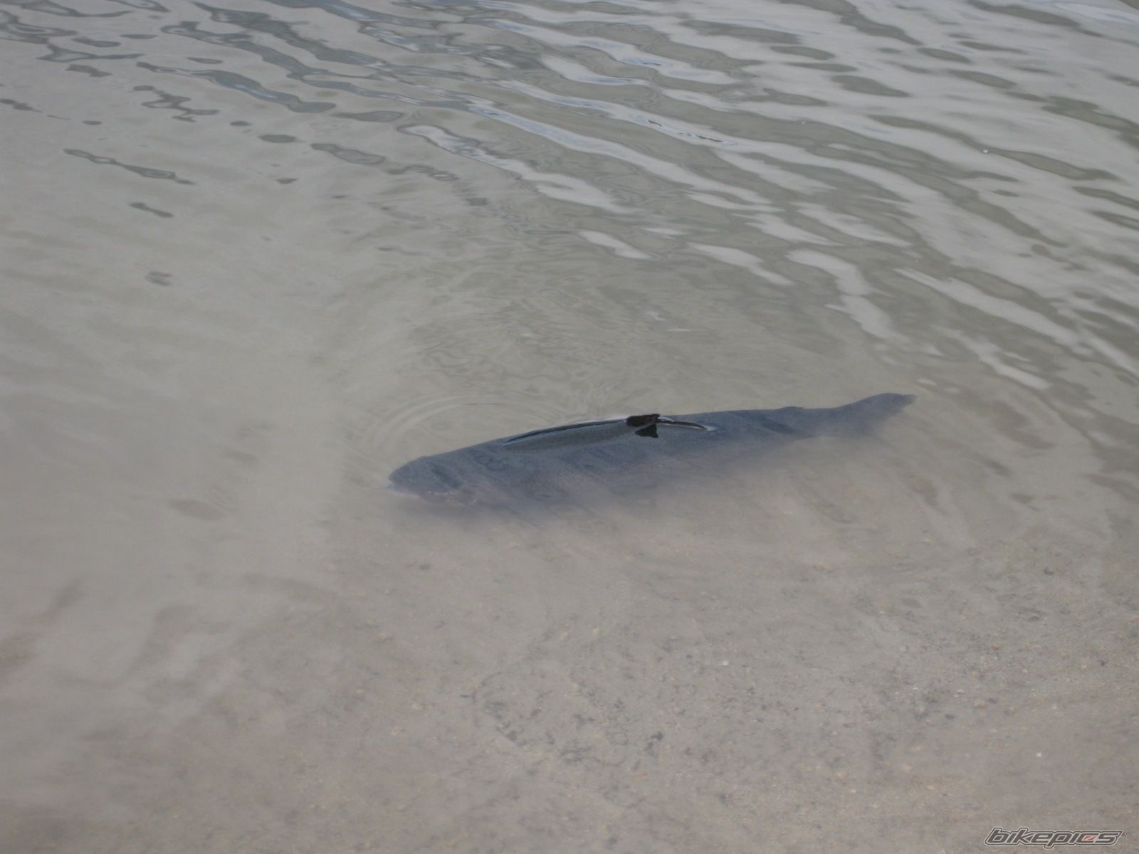 Photo 2032372