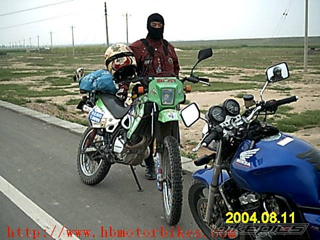 Photo 203243