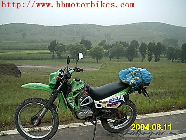 Photo 203248