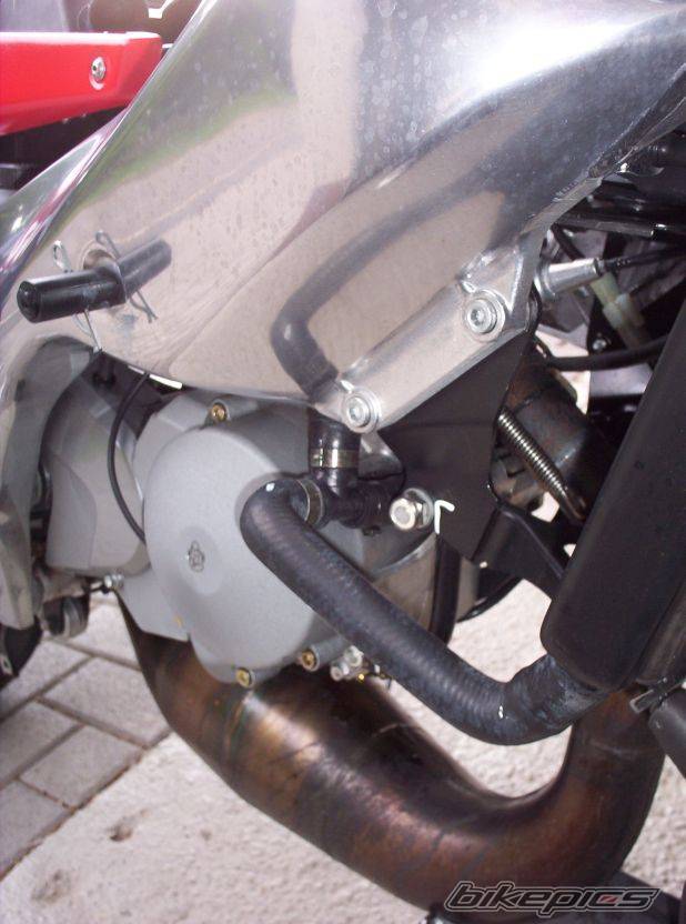 Photo 203250