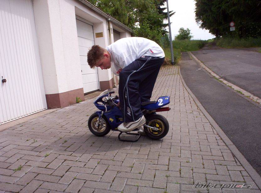 Photo 203254