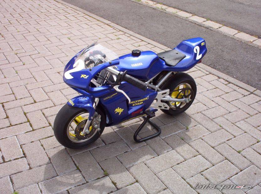 Photo 203256