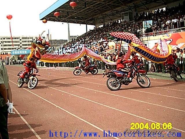 Photo 203257