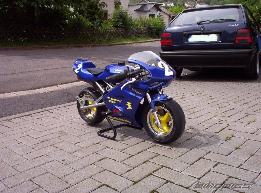 Photo 203258