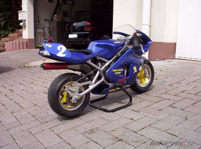 Photo 203259