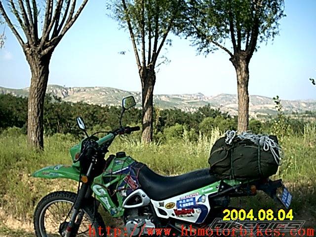 Photo 203261