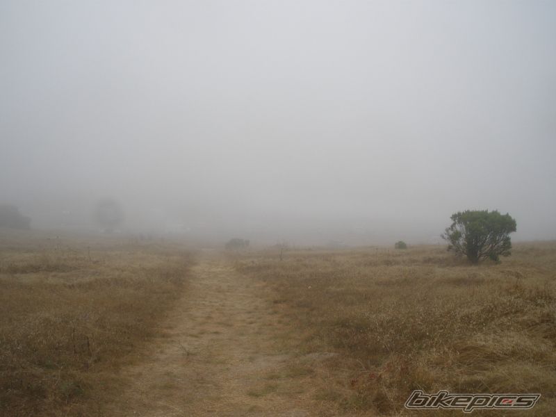 Photo 2033225