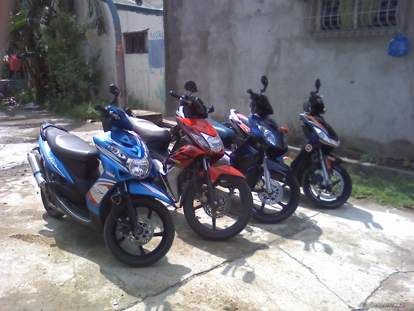 Photo 2033239