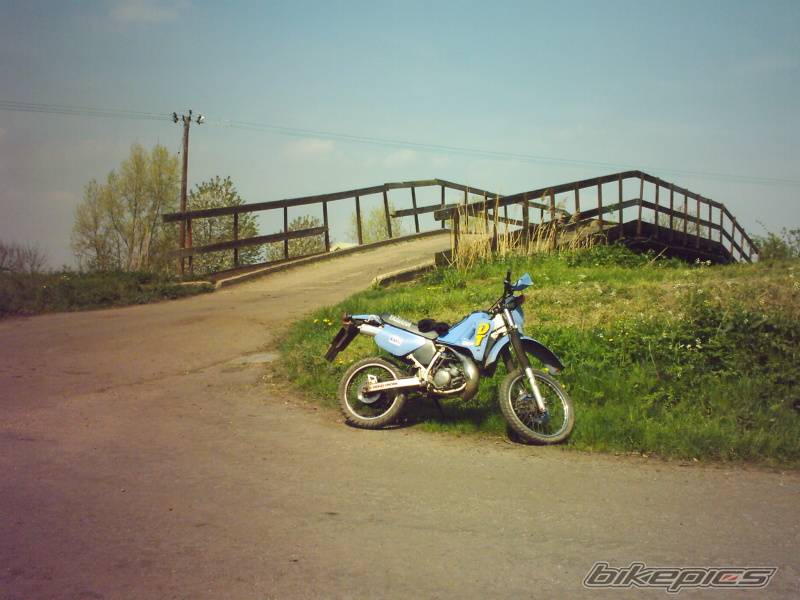 Photo 203351