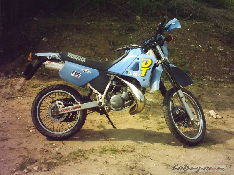 Photo 203353
