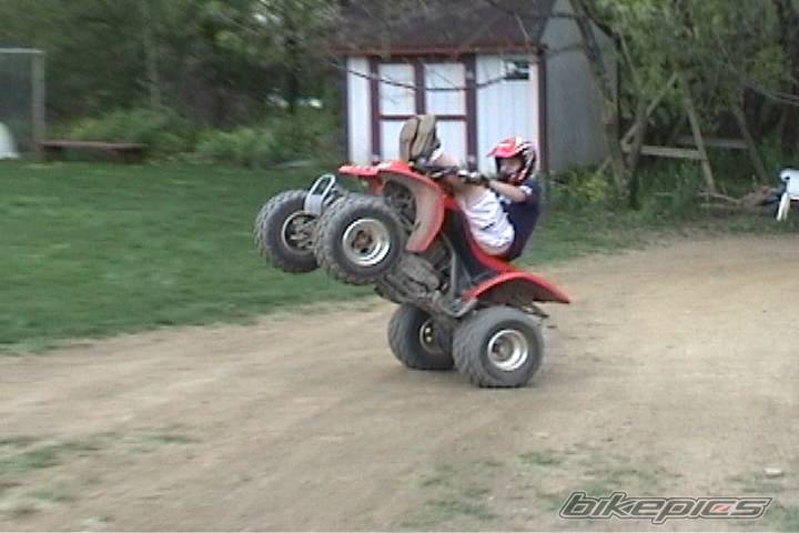 Photo 203355