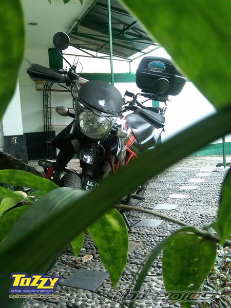 Photo 2033555