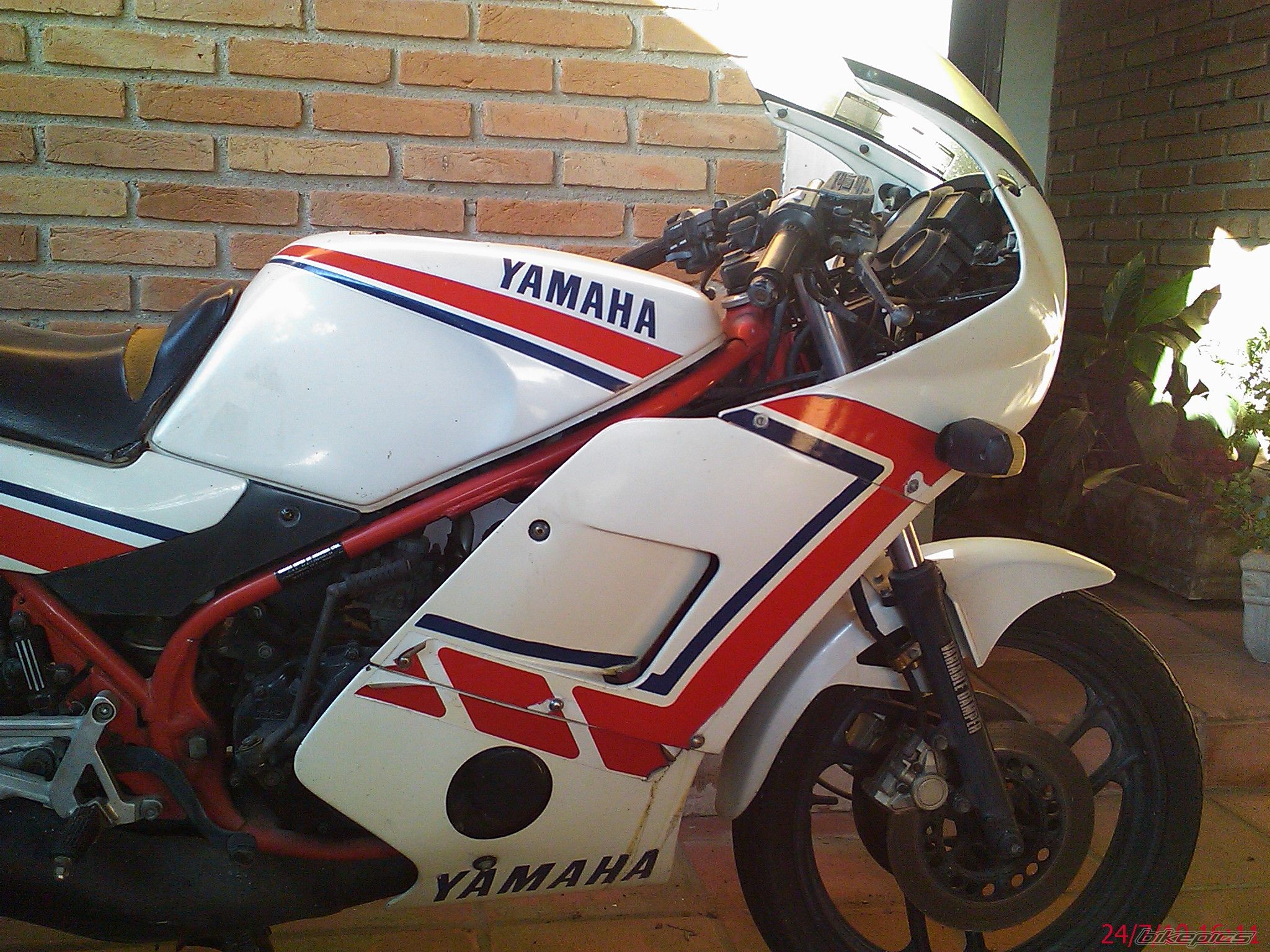 Photo 2033703