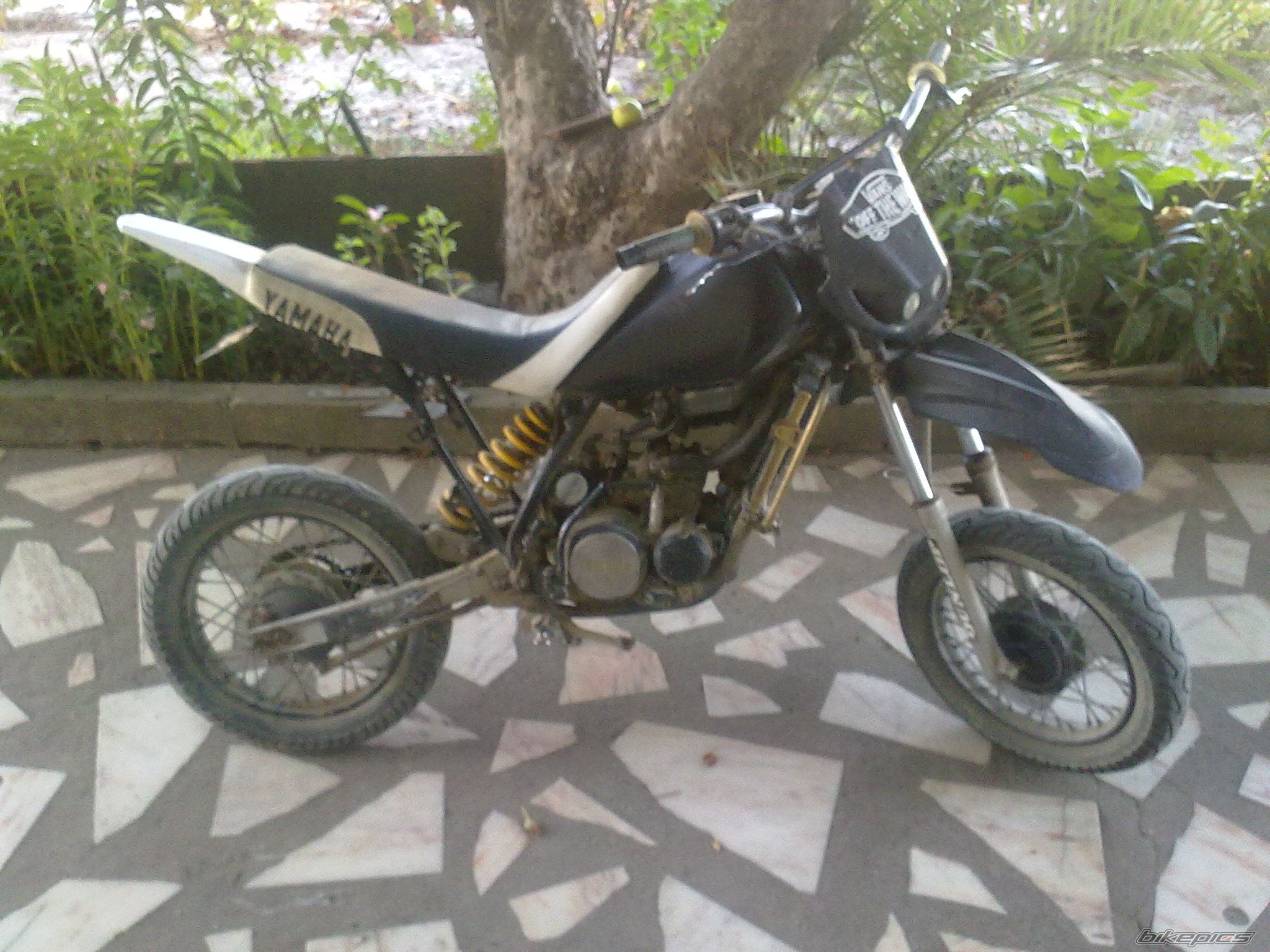 Photo 2033723