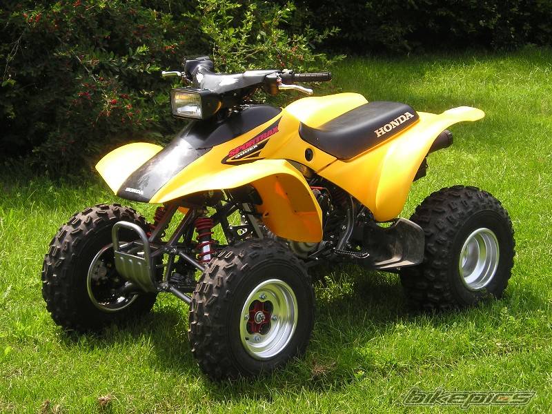 Photo 203377