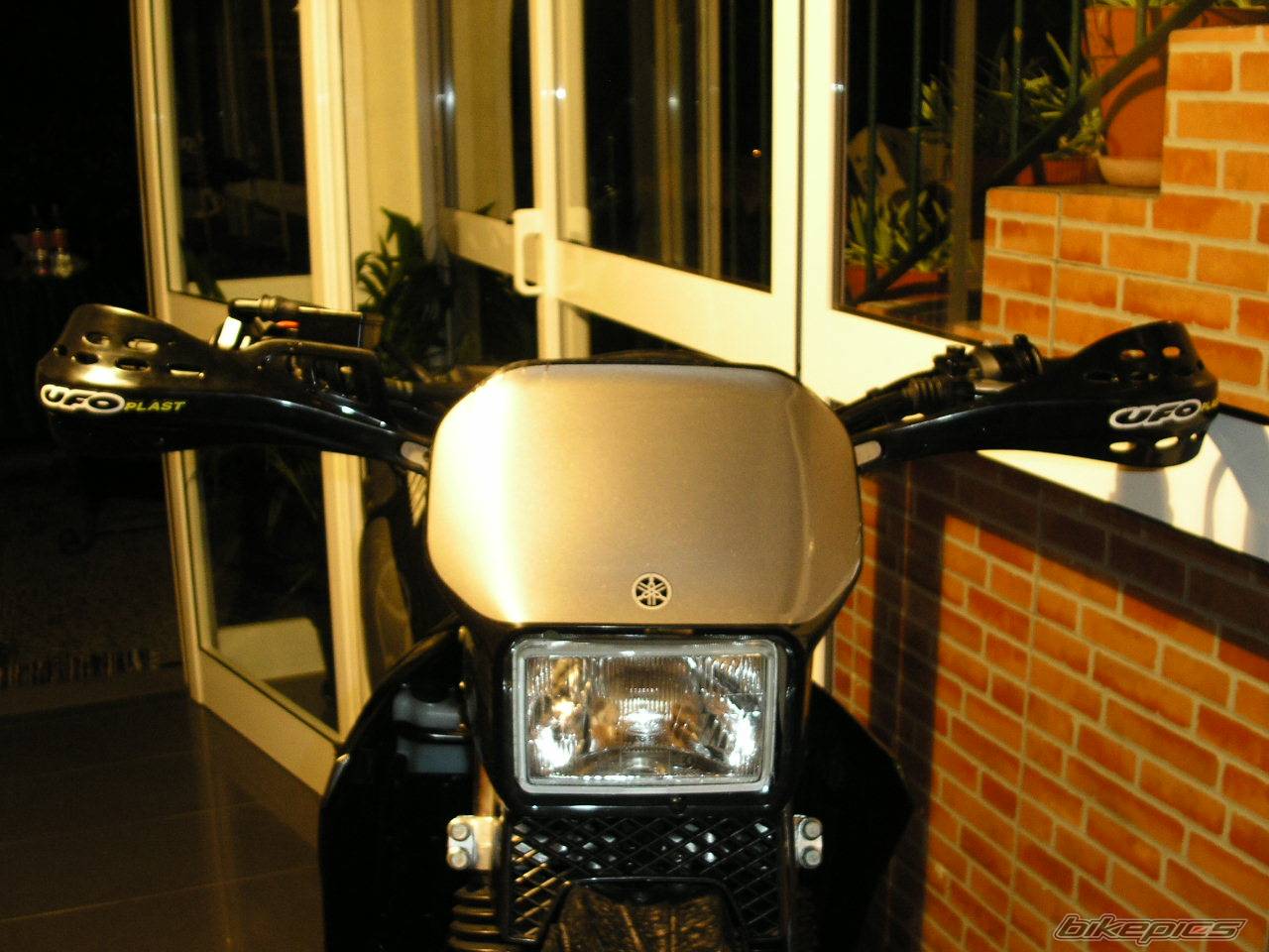 Photo 203381