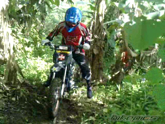 Photo 2033880