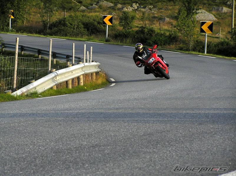 Photo 203389